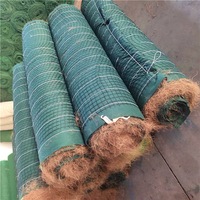 Fourniture ponctuelle du fabricant Protection des pentes de rivière Couverture d'herbe Graines Fibre végétale Géotextiles en soie de noix de coco Produits de terrassement