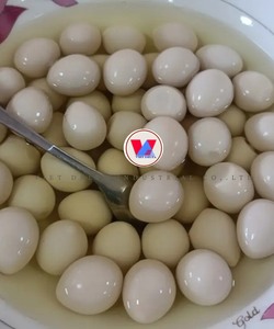 Œufs de caille du Vietnam en saumure |   Longue durée de conservation, sûr et savoureux |   Fournisseur en gros VDELTA - Product Image 1