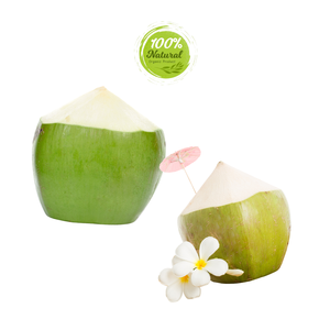 Grapa agrícola de coco pelado con diamante para un suplemento dietético nutritivo de longevidad - Product Image 4