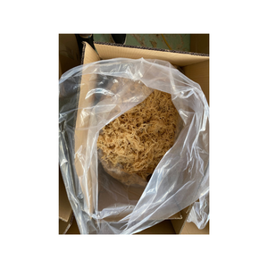 Premium Quality Organic Wakame Stem Frozen Shredded <b>Seaweed</b> for Salad Bowls and Prepared Meal Producers - Product Image 4