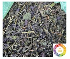 Feuilles de périlla pure pour la vente en vrac: feuilles de périlla séchées de shiso vert et de britton de haute qualité à des prix compétitifs pour l'exportation commerciale - Product Image 6