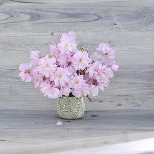 CLB9005BG - Tazón de cerámica reactiva beige mediano con estampado de helecho - 6 W x 5 H - Product Image 4
