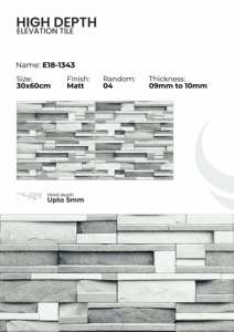 Carreaux muraux extérieurs en porcelaine 300x600mm, collection Elevation - Product Image 5