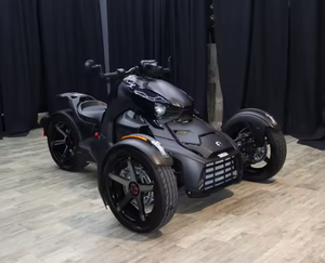 2024 Super Sales NUEVO Can Amm Ryker Rally Rotax 900 ACE Paneles épicos con garantía Original - Product Image 3