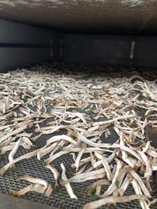 ชาผลไม้ตากแห้งพรีเมี่ยม-กราวิโอล่าทุเรียนเทศออร์แกนิกจากเวียดนาม - Product Image 4