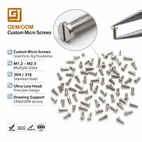 Vis micro en acier inoxydable sur mesure 304 316 M1.2 M1.4 M1.6 M2 M2.5 à tête ultra basse fendue, petites vis mécaniques pour l'électronique