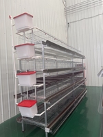 Fabricant de cages à poulets de type H, OEM ODM, fournisseur d'équipements avicoles en acier galvanisé pour fermes commerciales