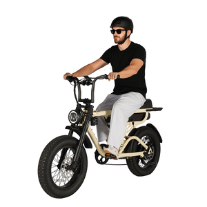 Vélo Tout-Terrain Électrique Fatbike 20 Pouces Suspendu Intégral Hybride Personnalisable Modèle 2025 avec Moteur Bafang 1000W et Alimentation par Batterie au Lithium - Product Image 6