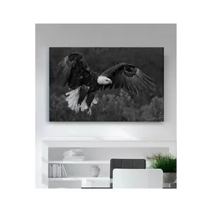 Impression sur toile Fida d'un aigle chauve coulissant en noir et blanc - Product Image 6