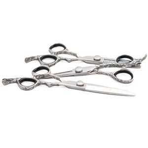 Poignée fantaisie 5.5 \ "couleur argent barbier rasoir coupe cisaillement acier inoxydable ciseaux Kit élégant beauté ciseaux ensemble - Product Image 1