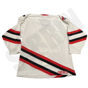 Maillot de hockey sur glace professionnel personnalisé de qualité supérieure fabriqué par Sibrin, 100% polyester, nom de l'équipe, numéros et logo personnalisés - Product Image 3
