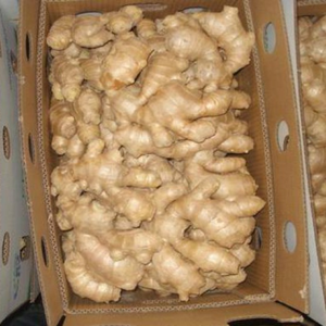 Jengibre fresco de alta calidad para exportación | Origen de Vietnam con ricos nutrientes - Product Image 3