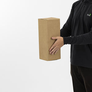 Cajas de Cartón Corrugado Rígido de Pared Simple Estándar en Forma de Avión, 150 x 120 x 365 mm, Reciclables - Product Image 3