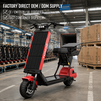 Moto électrique solaire avec siège, moteur brushless 500W, batterie LiFePO4 48V, longue autonomie, pneus larges, trottinette électrique cargo pour adulte