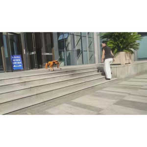 Robot chien télécommandé DIY, quadrupède, mécanique, intelligence artificielle, pièce de machinerie de construction, jouet musical en plastique - Product Image 1