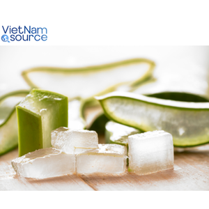 El mejor aloe vera vietnamita directo de la granja-100% Aloe Vera fresco y puro Fuente de Vietnam JSC-La mejor calidad de VNS - Product Image 3