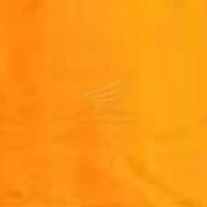 Nuevo Chándal Informal con Capucha para Hombre, Color Personalizado, 100% Algodón, Transpirable, Ecológico, Estilo Pullover - Product Image 6