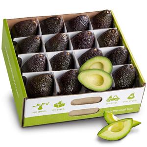 Meilleur produit de variété d'avocat frais modèle de lieu de Fruit frais culture de loquet commun - Product Image 6