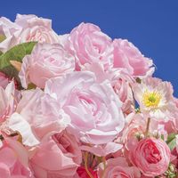 Roze bloemenwand achtergrond, bloemen bruiloft foto achtergrond, stof paneel 8ft x 8ft, kunstbloemen, decoratie voor evenementen