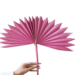 Abanico seco de hoja de palma Flor de hojas de palma Decorativo Hojas de Palma conservadas Día DE LA MADRE Día de San Valentín Regalo de agradecimiento de Navidad - Product Image 2