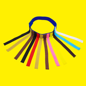 Nouveau jeu de capture de queue pour enfants, entraînement éducatif, jeux d'extérieur pour la maternelle, accessoires de tir à la queue - Product Image 1