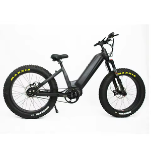 Vélo électrique à transmission par courroie 52V 1000W, moteur central G510, pneus larges - Product Image 1