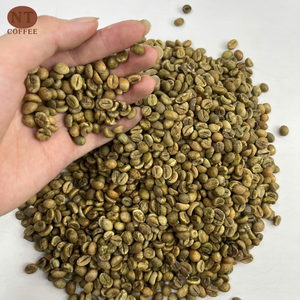 Grains d'arabica vertes du Vietnam de haute qualité, non torréfiées, traitement à sec, approvisionnement en vrac, service OEM/ODM disponible pour B2B - Product Image 1