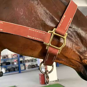 บังเหียนม้าขนาดพอเหมาะ - Product Image 5