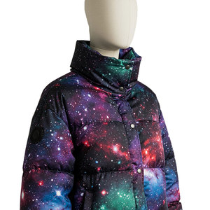 Manteaux courts d'hiver personnalisés ultra-légers pour hommes Veste en toile à capuche brodée en chenille rembourrée à bulles Duck Goose avant - Product Image 5