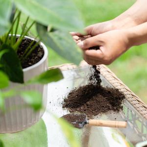 Offre incroyable 100% Engagement de qualité Produits agrochimiques Urée 46 Pilules Granulaires 46-0-0 Urée N46 % Azote Déchets agricoles - Product Image 3