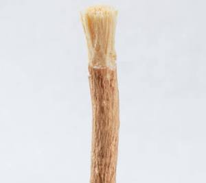 Glowroots Herbal Miswak Sticks Organic Natural Toothbrush Whitening Teeth Cleaner Fresh Breath Eco-Friendly Dental Hygiene Aid - Product Image 1