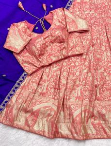 Hermoso tejido con bordado y trabajo de tejido Lehenga Choli Fabricante y proveedor de Surat - Product Image 2