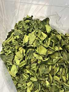 Feuille de citron vert, ingrédient culinaire du Vietnam, largement utilisé dans les menus des restaurants, les produits emballés et le commerce de gros à l'étranger - Product Image 6