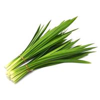 Feuilles de Pandan Biologiques Congelées du Vietnam - 100% Pures, Parfumées, Prêtes à l'emploi pour Jus et Infusions, Étiquetage Nettoyant pour Marques Blanches OEM