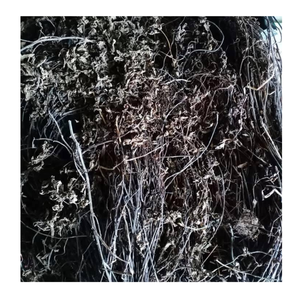 La gelée d'herbe noire du Vietnam laisse la norme d'exportation, prix concurrentiel pour les acheteurs globaux - Product Image 2