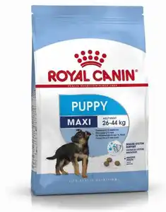 Acheter Royal Canin Moyen Adulte Nourriture sèche pour chat Acheter en gros Royal Canin PET Acheter Royal Canin Nourriture pour chat Prix de gros
