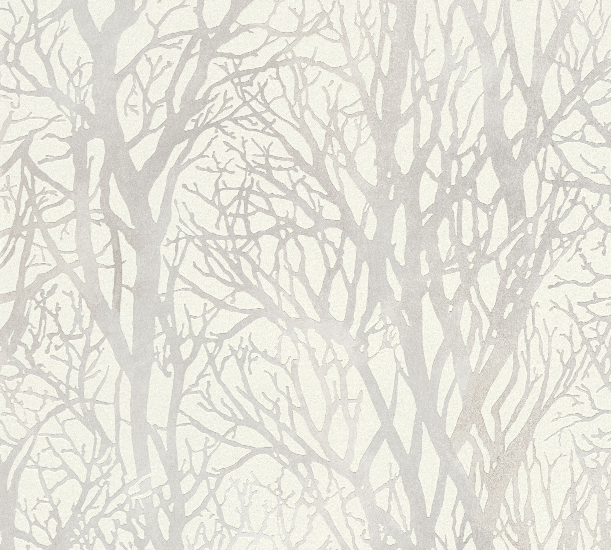 สีขาวเทาอ่อน