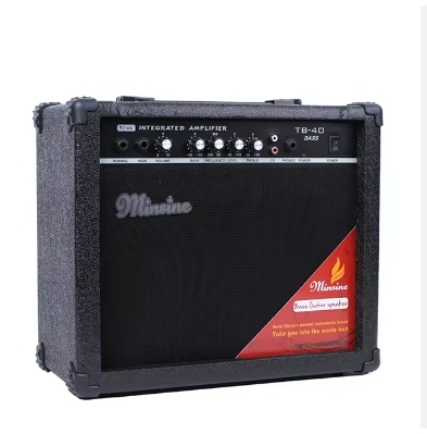 TB-40 Professional Power 40 Watt 2 Channel  Electric Bass Guitar Amplifier and Speakers