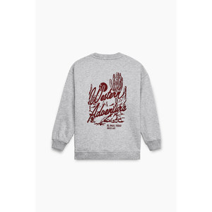 เสื้อสเวตเชิ้ตพิมพ์ลายสำหรับเด็กผู้ชาย GRIMELANGE Chaca - Product Image 3