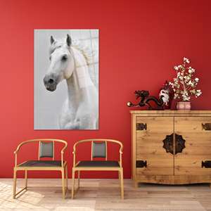 Impresión en lienzo de caballo blanco elegante: impresionante decoración de pared con diseño de animales, arte en vidrio templado - Product Image 1