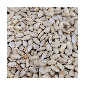 เมล็ดทานตะวันคั่วขายส่ง จำนวนมาก เกรดพรีเมียม จัดส่งรวดเร็ว พร้อมส่งออก - Product Image 3