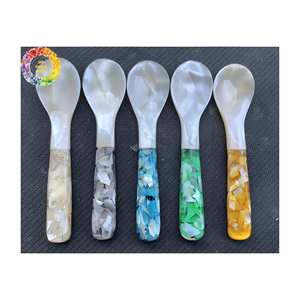 Fourchette à cuillère en nacre: Fourchette élégante à cuillère en nacre pour les restaurants de luxe, les fêtes polies au Vietnam - Product Image 1