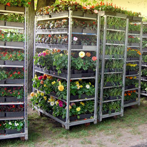 รถเข็นสำหรับใส่พืชแบบเดนมาร์กรถเข็นสำหรับใส่พืชเรือนกระจกสำหรับขนส่งแบบดัตช์ - Product Image 2