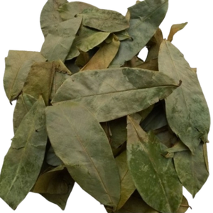 100% feuilles de corossol séchées naturelles originaires du Vietnam à un prix compétitif, bonnes pour la santé - Product Image 4