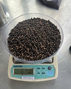 Herbe de poivre noir vietnamien sec à épice unique de qualité supérieure crue pour la santé cardiaque grand stock processus de séchage avancé - Product Image 5