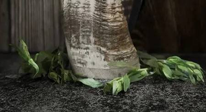 Jarra de Cerveza de Cuerno de Búfalo Natural de Moda, Ecológica, de 500 ml, Decoración de Bar de Lujo, Artículo de Regalo con Colores y Logotipo Personalizables, Precio Bajo - Product Image 6