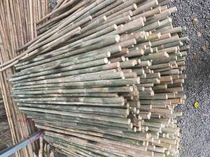 เสาไม้ไผ่เป็นมิตรกับสิ่งแวดล้อมสำหรับการก่อสร้างที่ยั่งยืน การตกแต่งภายใน และการเกษตร ในราคาโรงงาน - Product Image 2