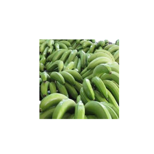 FRESH 100% BANANE CAVENDISH BIOLOGIQUE DU VIET NAM - PREMIUM EXPORT - Product Image 2