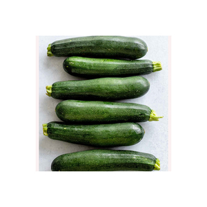 Bí xanh tươi và ZUCCHINI Trắng dưa chuột giá tốt để bán - Product Image 4