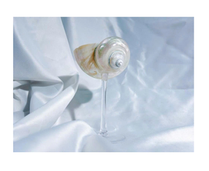 L'ornement en verre coquillage ajoute une touche artistique à la décoration intérieure, idéal pour les salons élégants et les espaces de style côtier - Product Image 1